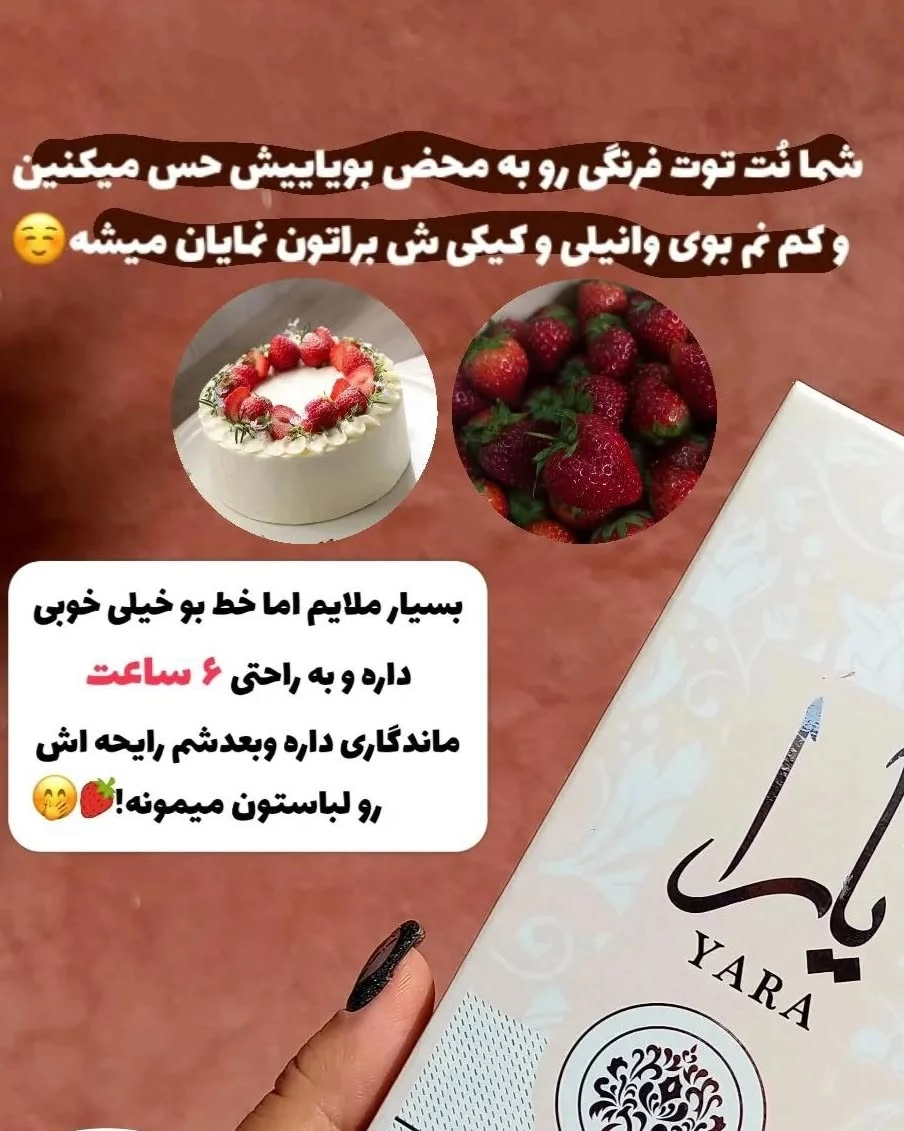 ماندگاری خط بو بالا