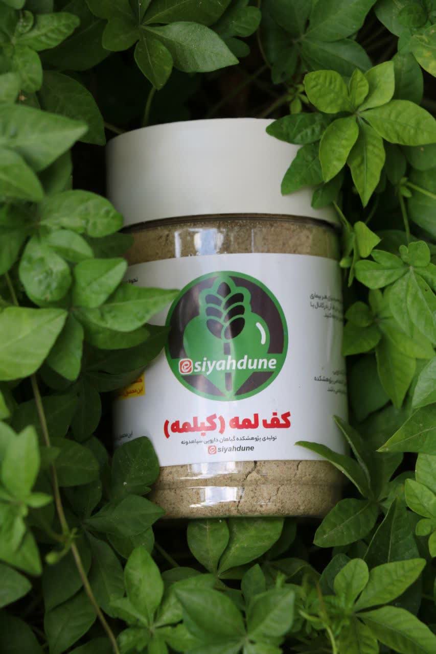 کفلمه معجزه گر استاد احسانیان